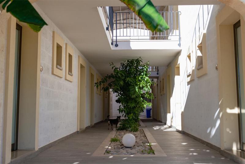 Eden Resort Country أُجينتو المظهر الخارجي الصورة